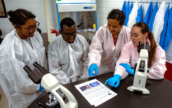 playzone gcash login